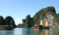 Integrasi kebudayaan Vietnam melalui sudut pandangan para pakar Vietnamologi
