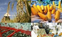 Ekspor hasil pertanian, kehutanan dan perikanan tahun 2012 diprakirakan mencapai lebih dari USD 27,5 miliar