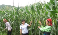 Kecamatan Chieng Xom membangun pedesaan baru