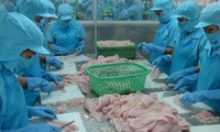 Amerika Serikat mengenakan tarif anti dumping yang tinggi terhadap ikan Patin dan Basa Vietnam