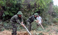 Tentara Perbatasan provinsi Nam Dinh bersama-sama membangun pedesaan baru
