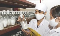 Vietnam mempunyai potensi untuk mengembangkan ekonomi berbasis biologi