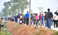Kota Da Nang bergerak menjalankan “Pesta Penghijauan” tahun 2014