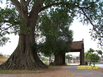 Proyek konservasi pusaka budaya di desa kuno Duong Lam