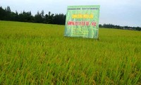 Perusahaan Umum Persero Material Pertanian provinsi Nghe An, badan usaha yang turut membangun pedesaan baru