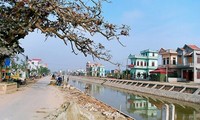 Provinsi Nam Dinh membangun pedesaan baru dengan berdasarkan pada kekuatan komunitas