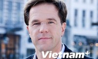 Vietnam-Belanda: Dari hubungan dagang ke kerjasama dan persahabatan