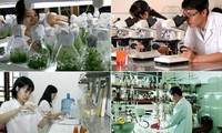 Vietnam memprioritaskan penelitian dan pengembangan ilmu pengetahuan dan teknologi