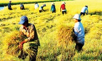 Pada tahun 2015, Vietnam berusaha mencapai nilai ekspor hasil pertanian sebesar 32 miliar dollar AS