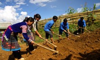 Kaum remaja provinsi Lai Chau bersatu padu membangun pedesaan baru