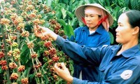 WB membantu pembaruan pertanian dan pendidikan Vietnam