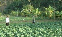 Menciptakan kebulatan pendapat dalam membangun pedesaan baru di provinsi pegunungan Ha Giang