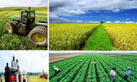 Pertanian menjamin ketahanan pangan, mengubah wajah pedesaan