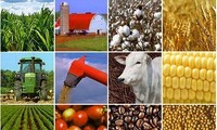 Mengevaluasikan sayembara foto pers “Pertanian-Petani-Pedesaan”