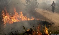 Indonesia membuka kampanye paling besar untuk memadamkan kebakaran hutan