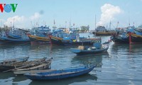 Provinsi Binh Thuan membantu kaum nelayan mengarungi dan merapati laut