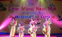 Aktivitas-aktivitas menyambut Hari Raya Tet di kalangan diaspora Vietnam di luar negeri