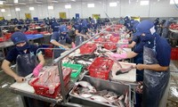 Senat AS mengesahkan resolusi mencabut program pengawasan ikan tak bersisik  terhadap Vietnam