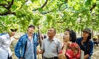 Telah dibuka Pekan Raya Pameran Anggur dan Arak Anggur yang dikombinasikan dengan kuliner di provinsi Ninh Thuan