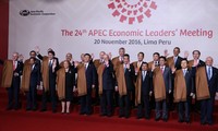 APEC 2017 menegaskan posisi Vietnam