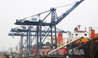 Hampir 200.000 ton barang dagangan diterima oleh pelabuhan Cai Lan pada awal tahun baru