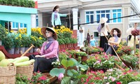 Jalan bunga musim semi di kota Can Tho berencana menyambut kedatangan ratusan ribu wisatawan