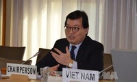 Perekonomian-perekonomian APEC mendukung berbagai prioritas Tahun APEC 2017 di Vietnam
