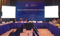 Kelompok kerja tentang kesehatan mempersiapkan isi pernyataan yang akan disampaikan di depan Pekan Tingkat Tinggi APEC 2017