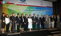 APEC 2017: bekerjasama mendorong pengembangan badan usaha kecil dan menengah