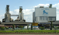 Perusahaan CPV-Pola produksi pertanian yang sukses di Vietnam