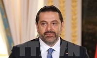 Uni Eropa mendukung Libanon menstabilkan tanah air setelah krisis politik