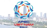 Suksesnya Tahun APEC 2017 menciptakan dinamika baru bagi Vietnam