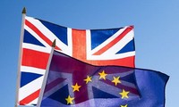 Masalah Brexit: Irlandia menyatakan tidak memveto usulan memperpanjang batas waktu terakhir Brexit