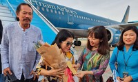 Kota Da Nang menyambut missi penerbangan pertama pada Hari Raya Tet 2020