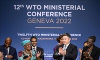 WTO Capai Konsensus tentang Paket Kesepakatan Perdagangan Bersejarah