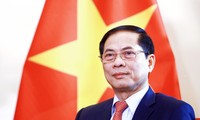 Hubungan Luar Negeri Vietnam Memanifestasikan secara Jelas Identitas untuk Melindungi dan Mengembangkan Kepentingan Tanah Air