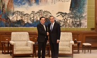 Deputi PM Vietnam, Tran Luu Quang Beraudiensi kepada Menlu Tiongkok, Wang Yi