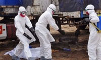 Ebola infection likely to decrease by early next year