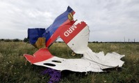 Australia asks for MH17 criminal trial 