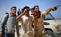 Arab league vows military support for Libya
