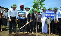 Vietnam y la UIP plantan árboles como acción contra alteración del clima