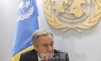  Máximo titular de la ONU pide desnuclearización global