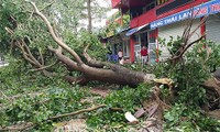 El centro de Vietnam afronta la tormenta de Talas