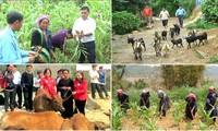 Gobierno vietnamita orienta el desarrollo socioeconómico para el segundo semestre del año