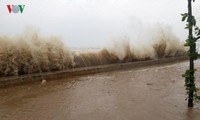 El tifón Doksuri causa pérdidas humanas y materiales en las provincias centrovietnamitas