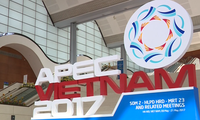 APEC 2017 eleva la posición de Vietnam en la palestra internacional