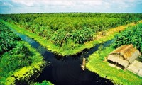 Delta del río Mekong hacia un desarrollo sostenible ante el cambio climático