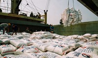 Exportación del arroz vietnamita registra buenas señales 