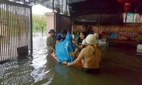 Vietnam busca reducir las pérdidas personales y materiales a causa de la última depresión tropical