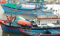 Provincias costeras de Vietnam se preparan para aminorar las consecuencias del tifón Kirogi